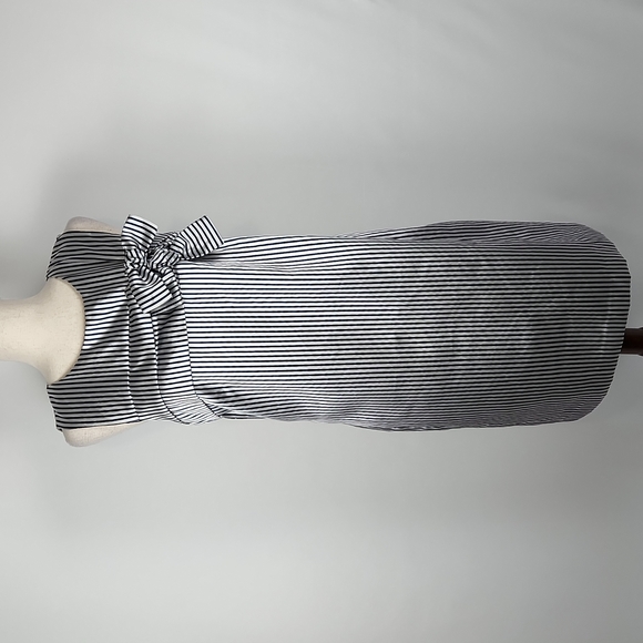 NWOT Banana Republic Preppy Navy and Metallic Silver Stripe Shift Dress Size 12 - Picture 2 of 16